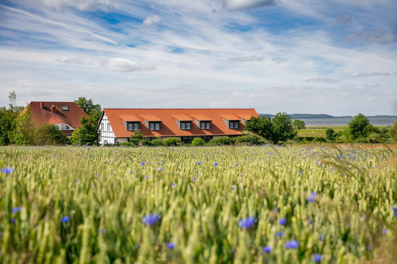 H.W.S. Hotel Der Wilde Schwan Sagard Eksteriør billede